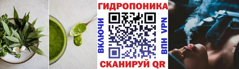Canna-Cookies конопля  площадка наркотические препараты  Артёмовск  где можно купить  