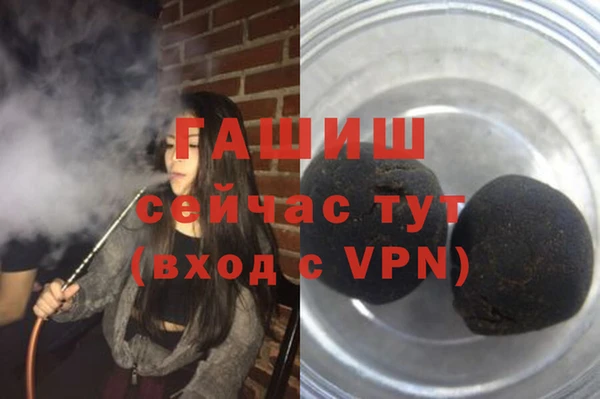 индика Алзамай