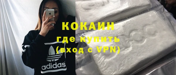 индика Алзамай