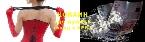 индика Алзамай