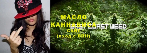 индика Алзамай