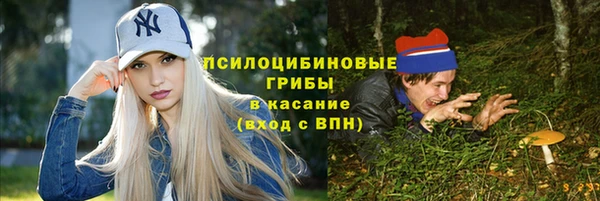 прущие грибы Алексин