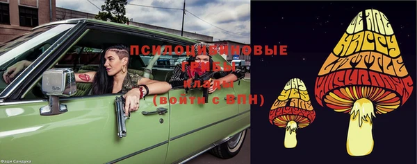 индика Алзамай